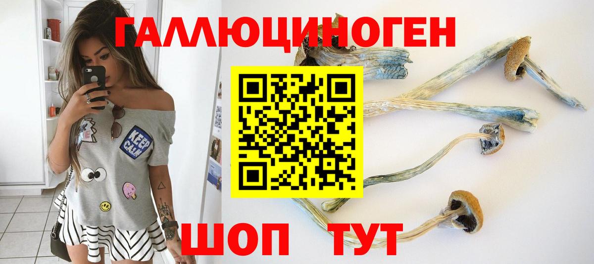 Галлюциногенные грибы Psilocybe  сколько стоит  Псилоцибиновые грибы Psilocybe  Борисоглебск  Вход с VPN 